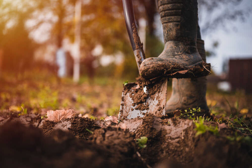 ביאור על מהות הקשר בין עבודת האדמה לעבודת האדם