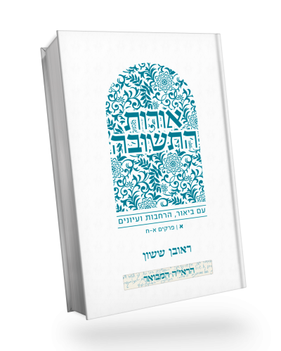 אורות התשובה קשה