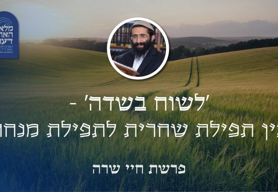 תמונות רקע- שיעור שבועי (42)