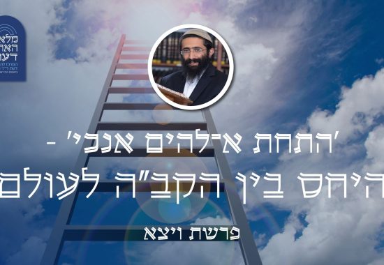 תמונות רקע- שיעור שבועי (44)